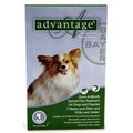 Bayer Bayer ADVANTAGE4-GREEN Advantage 4 Pack Dog 0-10 Lbs. - Green ADVANTAGE4-GREEN